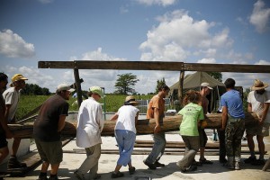 It helps to have community mates when moving timbers this size! Construction of Moon Lodge at Dancing Rabbit Ecovillage.